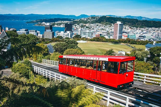 1/2 Day Guided Wellington Tour incl. Cable Car (Vans not buses) - Key Highlights That Make This Tour Worth Your Time