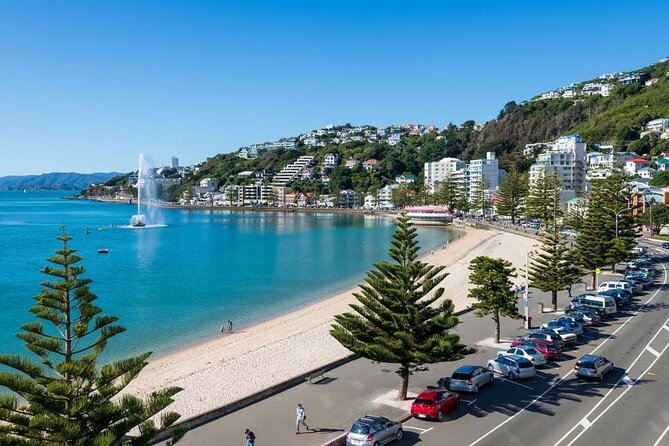 1/2 Day Guided Wellington Tour incl. Cable Car (Vans not buses) - Weta Cave Stop: Film-World Curiosity Without a Full Detour