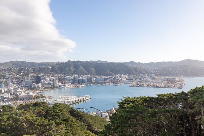 1/2 Day Guided Wellington Tour incl. Cable Car (Vans not buses) - Mount Victoria Lookout: The Fastest Way to Get Oriented