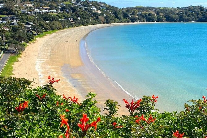 1.5h Waiheke Guided Scenic Tour in our Electric Van - Entering Waiheke by electric van, not by guesswork