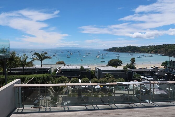 1.5h Waiheke Guided Scenic Tour in our Electric Van - Onetangi and Palm Beach time: white sand with room to wander