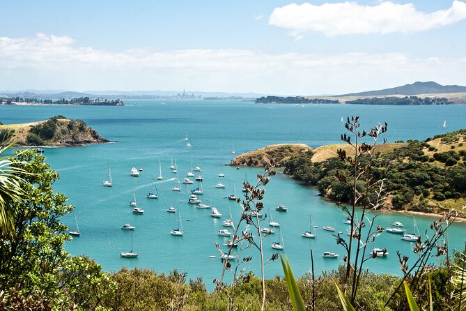 1.5h Waiheke Guided Scenic Tour in our Electric Van - Price and value: what you really pay for