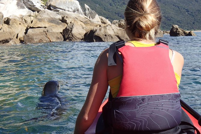 1 Day Sea Kayak Rental - Weather and Sea Conditions: When the Plan Depends on the Day