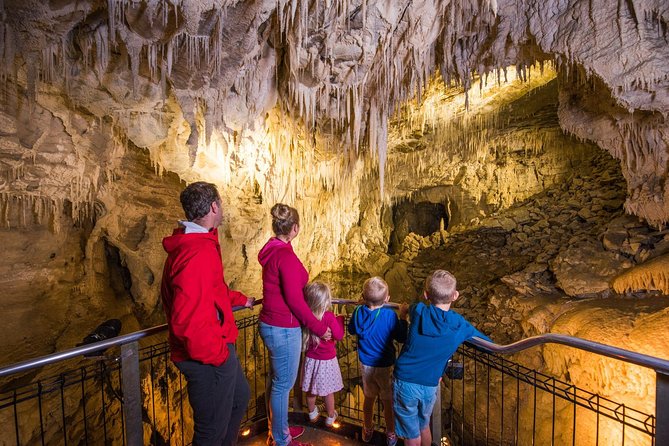 1-Hour Guided Tour of Aranui Cave Waitomo - Ruakuri Scenic Reserve setting and the cave’s backstory