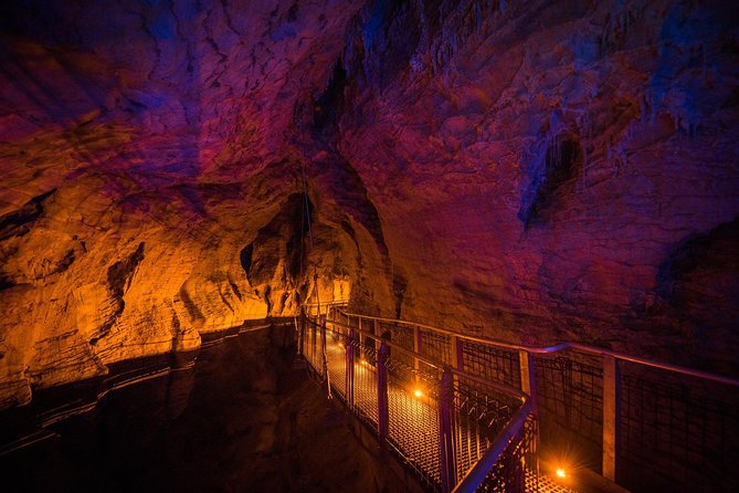 1-Hour Guided Tour of Aranui Cave Waitomo - Price and value: is $50.27 for 1 hour worth it?