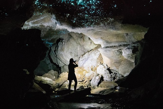 1-Hour Guided Tour of Aranui Cave Waitomo - Practical tips that make or break a cave tour