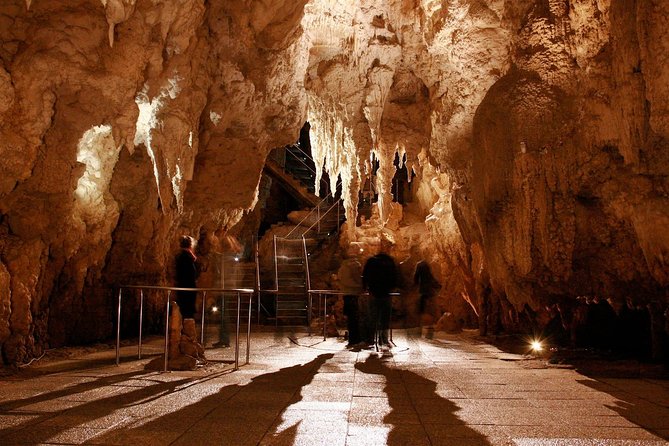 1-Hour Guided Tour of Aranui Cave Waitomo - Pairing Aranui Cave with the Waitomo Glowworm Caves day
