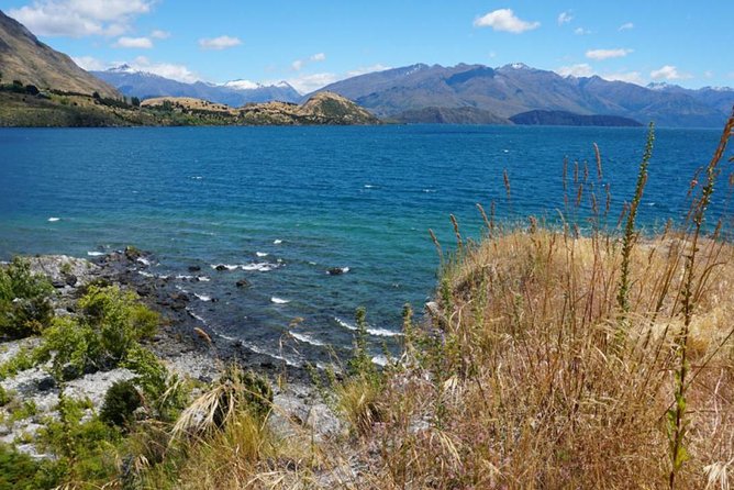 1-Hour Ruby Island Cruise and Walk - Price and value: why $34.75 can make sense in Wanaka