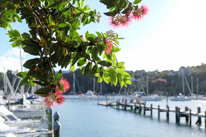 1 Hour Scenic Bay of Islands Tour - Price and What You Really Get for $31.03