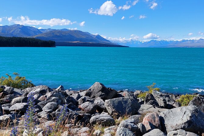 12 Day New Zealand Private Tour from Auckland to Queenstown - Aoraki/Mt Cook: Hooker Valley walk plus a helicopter ride, with lakes and Lindis Pass on the way to Queenstown