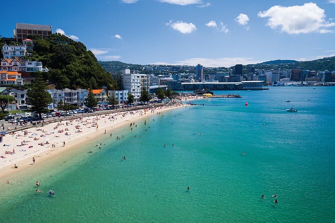 15-Minute Wellington Harbour Helicopter Flight - Pilot Andy’s narration: why the commentary is part of the value