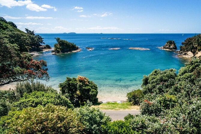 2.5 Hours Wine Tour in Waiheke Island for Cruise Ship Travelers - Why the tour includes 8 wines at two vineyards