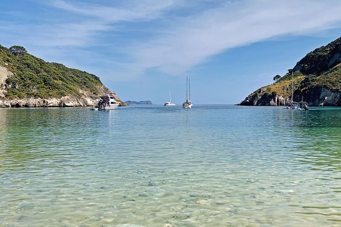 2.5 Hours Wine Tour in Waiheke Island for Cruise Ship Travelers - The vehicle and comfort factor on Waiheke