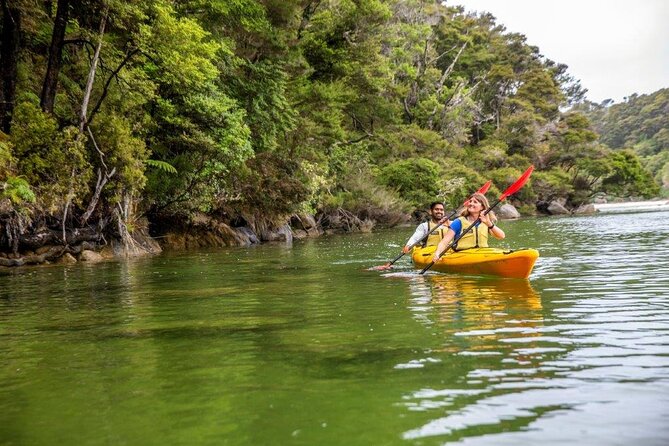 2 Day Freedom Kayak - Kayak Rental - New Zealand - Key Points Before You Paddle