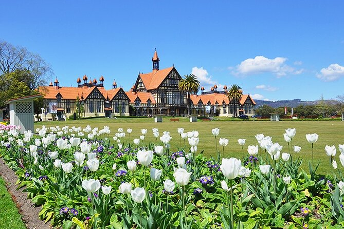 2 Day Tour Auckland to Hobbiton, Waitomo, Rotorua and Taupo - Waikato countryside before Waitomo: the scenic buffer you didn’t know you needed