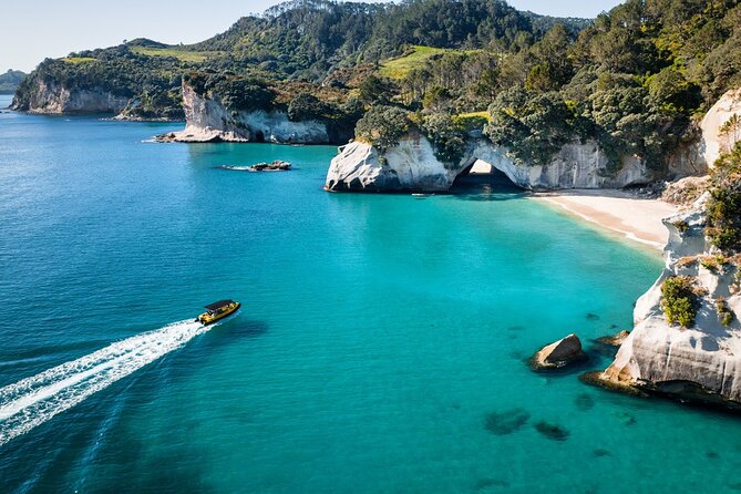 2 Hour Cathedral Cove and Volcanic Coast Cruise with Shade Canopy - Key things to know before you go