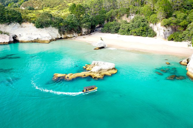 2 Hour Cathedral Cove and Volcanic Coast Cruise with Shade Canopy - Cooks Beach and the Cooks Blow Hole: where the coast feels dramatic