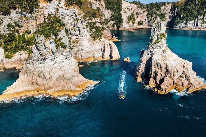 2 Hour Cathedral Cove and Volcanic Coast Cruise with Shade Canopy - Hot Water Beach and Orua Sea Cave: the volcanic coast thread