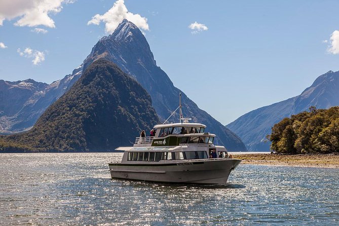 2-Hour Milford Sound Scenic Cruise - Starting at Mitre Peak Cruises: check-in flow and what to bring