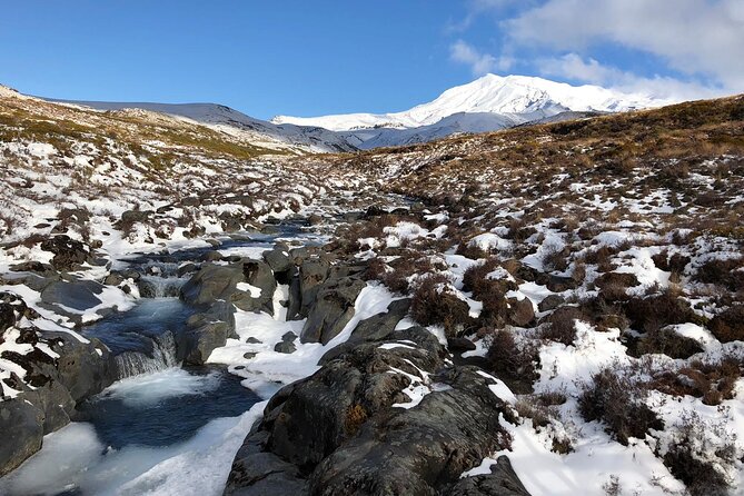 2 Hour Pre Sunset Guided Group Walk - Taranaki Falls: the 20-metre drop and the volcano story behind it