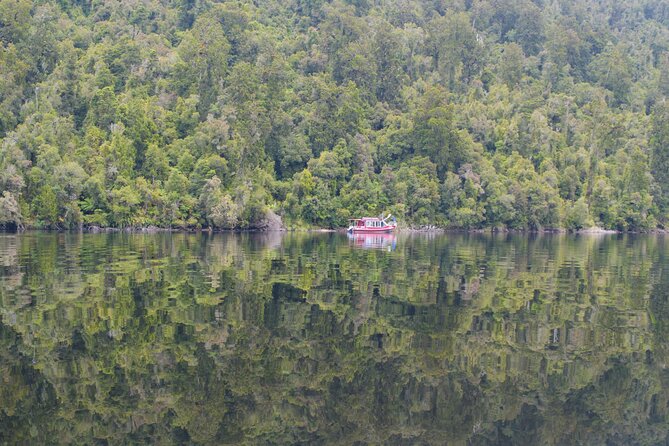 2-Hour Scenic Cruise in Lake Mapourika - The kiwi conservation stop: what you’ll actually learn and why it’s worth it