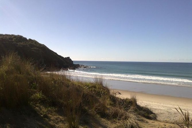 2 Hour Surf Lesson - Te Arai Beach - Te Arai Beach is a smart pick for first lessons