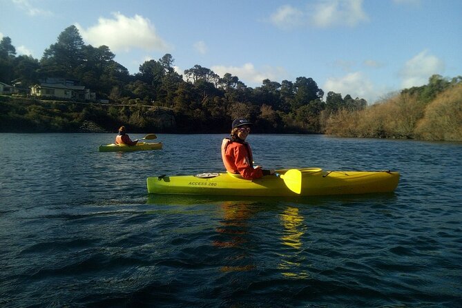 2-Hour Waikato River Guided Kayak Trip from Taupo - Paddling the Waikato: islands, reserves, and big Taupo views