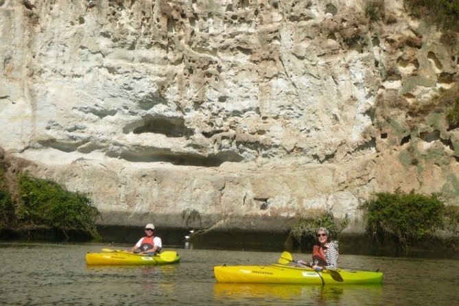 2-Hour Waikato River Guided Kayak Trip from Taupo - The warm geothermal stop: hot water falls and a feet-in-the-river moment