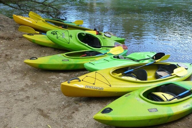 2-Hour Waikato River Guided Kayak Trip from Taupo - Guides make or break it, and this one has strong guide energy