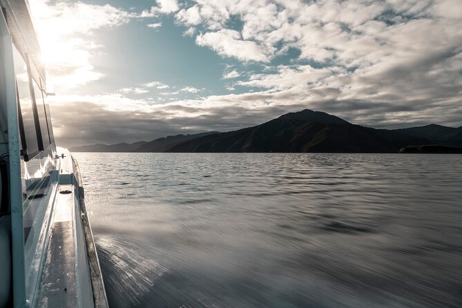 3.5 Hour Marlborough Sounds Delivery Cruise - Marlborough Sounds From London Quay: What This 3.5-Hour Cruise Really Is