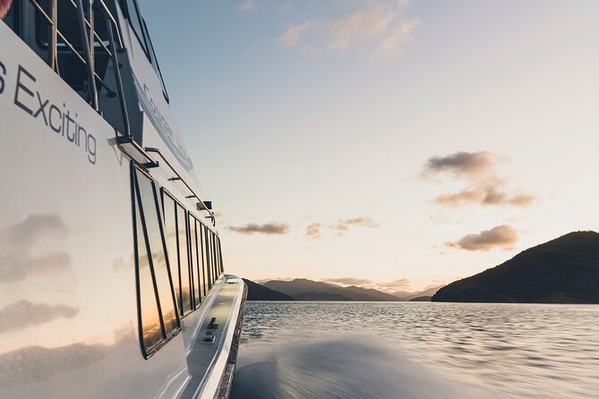 3.5 Hour Marlborough Sounds Delivery Cruise - Ships Cove and Remote Bays: What You See From the Water