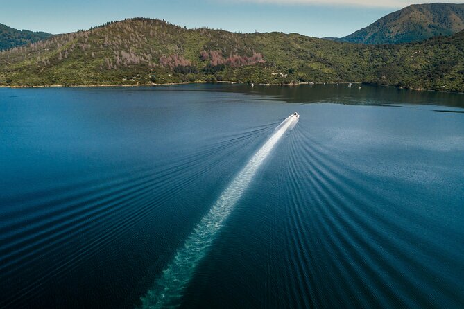 3.5 Hour Marlborough Sounds Delivery Cruise - Weather Reality: Dress for Wind, and Avoid Rough Seas