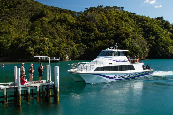 3.5 Hour Marlborough Sounds Delivery Cruise - Comfort and Group Size: Why It Feels Personal