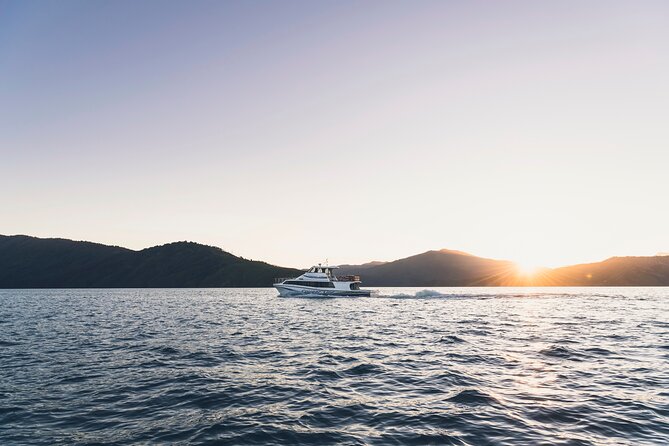 3.5 Hour Marlborough Sounds Delivery Cruise - Price and Value: Is $68.26 Worth It?