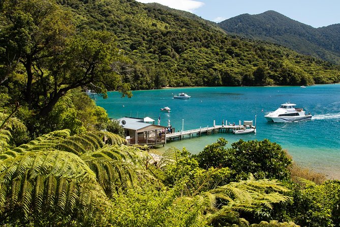 3.5 Hour Marlborough Sounds Delivery Cruise - Route and Stops: How the Delivery-Style Cruise Moves