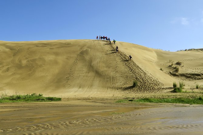 3 Day Bay Of Islands Tour from Auckland including Waitangi and Cape Reinga - Return Auckland Travel: Sightseeing With the Lightest Touch