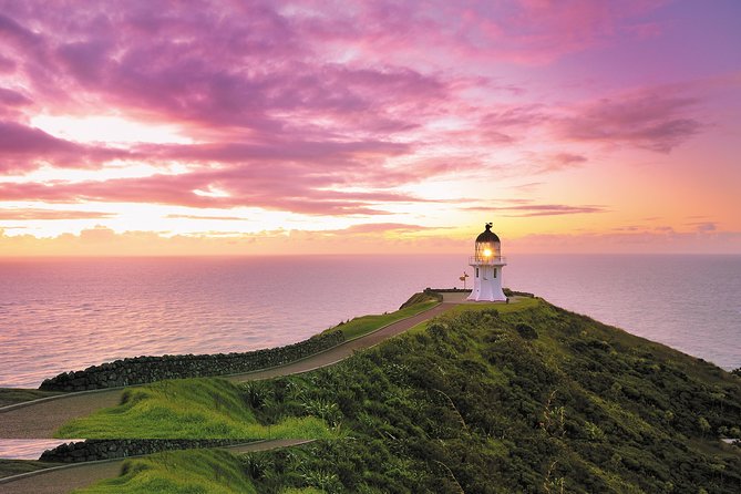 3 Day Bay Of Islands Tour from Auckland including Waitangi and Cape Reinga - Auckland to Paihia Harbour: First Views, Then Settling In