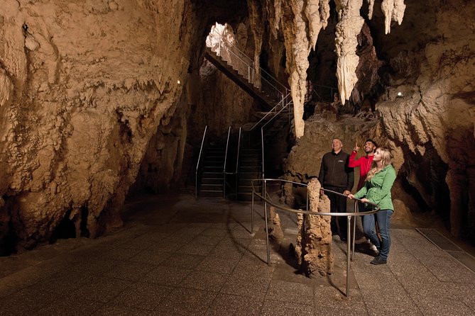 3 Day Waitomo Caves, Hobbiton Movie Set and Rotorua Tour from Auckland - Price and Value: Is NZ$1,343.54 a Fair Deal?