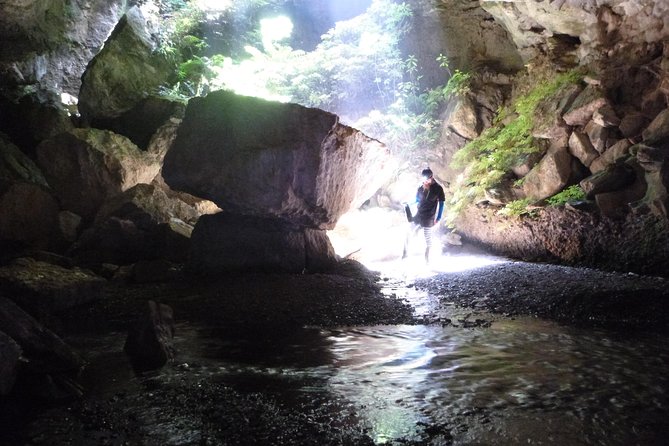 3-Hour Private Photography Tour in Waitomo Caves - How the private format changes your shot list (and your stress level)