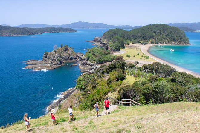 3 Hours // Hole in the Rock Cruise & Bay of Islands Tour - Cruising past 144 islands: what you should look for first