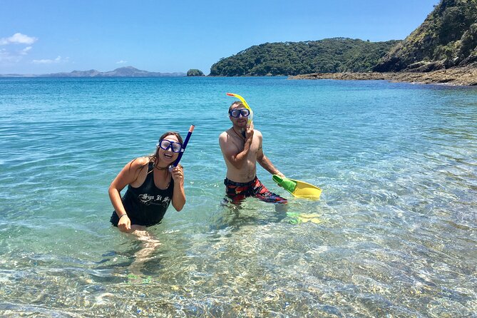 3 Hours // Hole in the Rock Cruise & Bay of Islands Tour - Motuarohia (Roberton) Island walk: short hike, big panoramic payoff