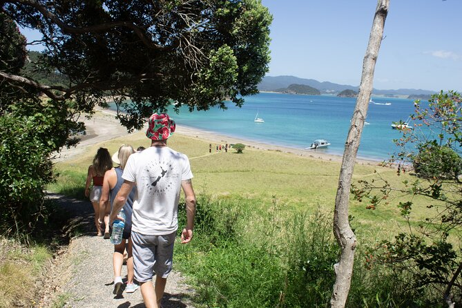 3 Hours // Hole in the Rock Cruise & Bay of Islands Tour - Cape Brett Lighthouse: the scenery bonus you want to catch