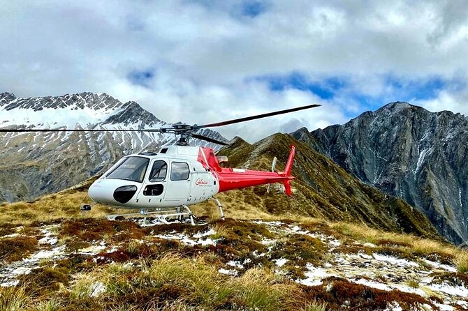 30-Minute Alpine Scenic Flight from Queenstown - Key Points That Matter Before You Go
