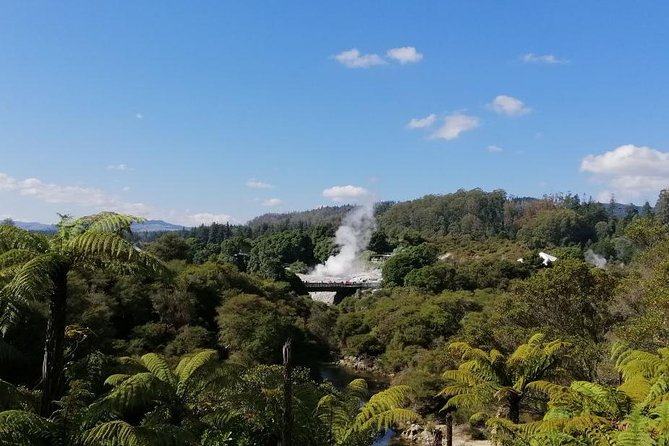 4-Day Auckland to Wellington via Rotorua Tour - A Four-Day Route That Trades Flexibility for Results