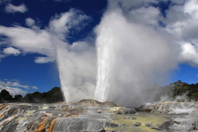 4-Day Auckland to Wellington via Rotorua Tour - Price and Value: What $921.55 Covers (and Why That Matters)