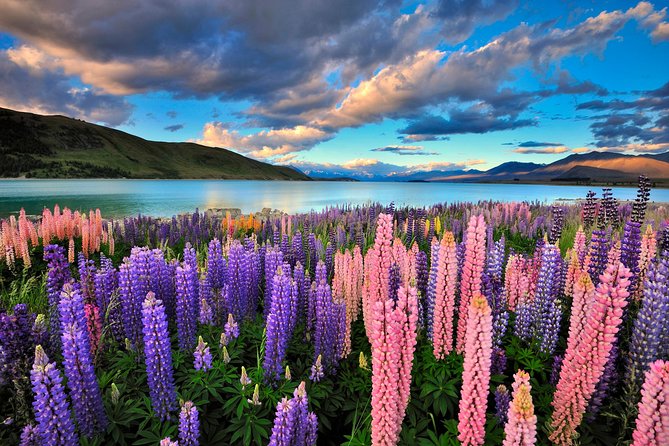 4-Day Great Southern Island Circle Tour from Christchurch - The Big Idea: What This 4-Day South Island Circle Actually Delivers