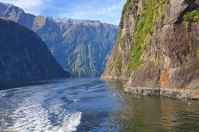 4 Day Tour to Milford Sound, Mount Cook & More from Auckland - Aoraki Mackenzie Dark Sky stargazing near Lake Tekapo