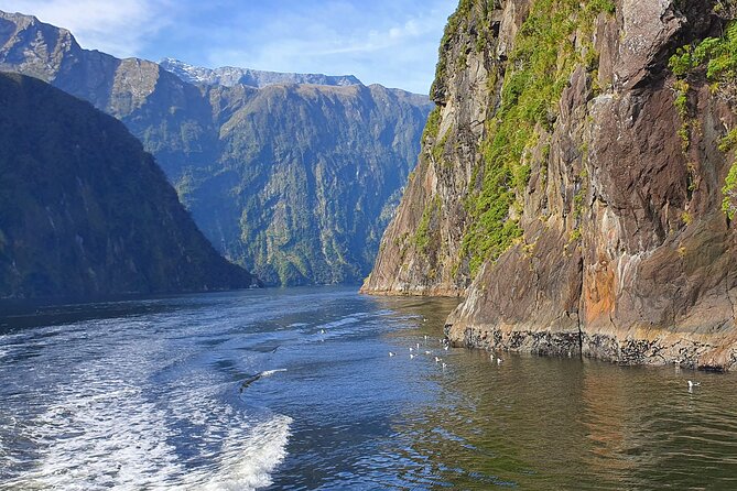 4 Day Tour to Milford Sound, Mount Cook & More from Queenstown - Price and What You Get for NZ$2,203 Per Person