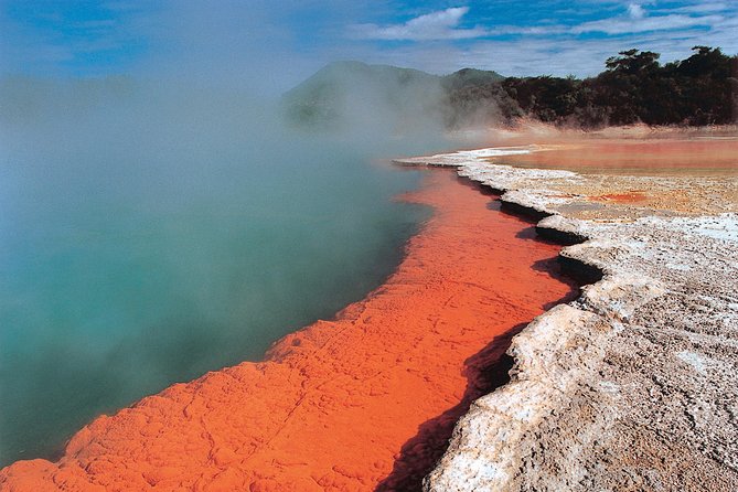 4-Day Wellington to Auckland via Rotorua Tour - Key things that make this tour work