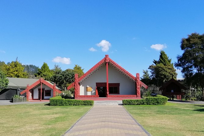 4-Day Wellington to Auckland via Rotorua Tour - Rotorua free time, how to use it well with only a day and a half